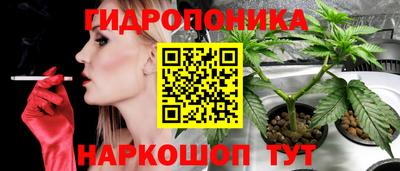 бошки Славгород