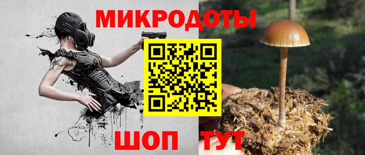 Псилоцибиновые грибы MAGIC MUSHROOMS  Вход с VPN  Ртищево 