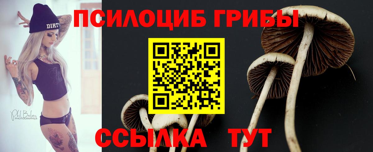 Галлюциногенные грибы ЛСД Ртищево